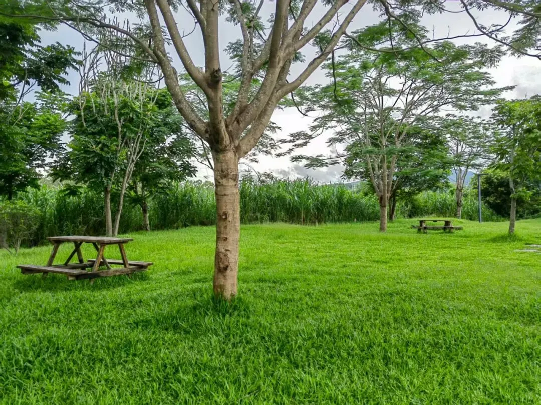 中考•作文︱2026年广州中考一模作文题简析 第1张