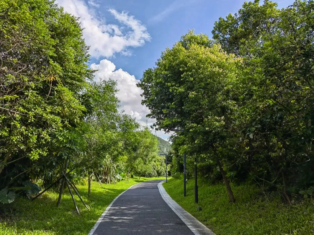 中考•作文︱2026年广州中考一模作文题简析 第5张