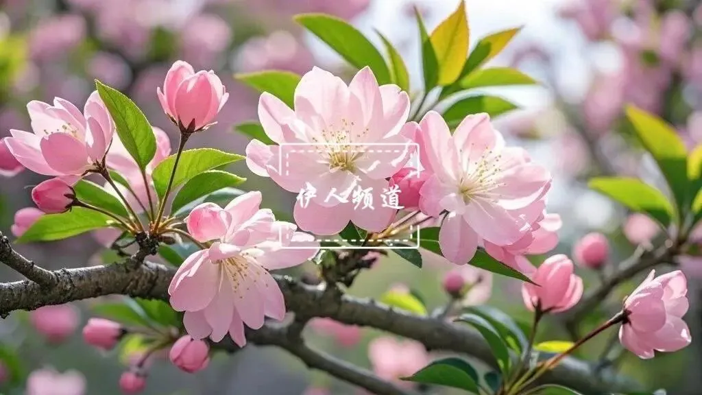 2026中考语文模拟试卷及参考答案(10)【可打印】 第2张