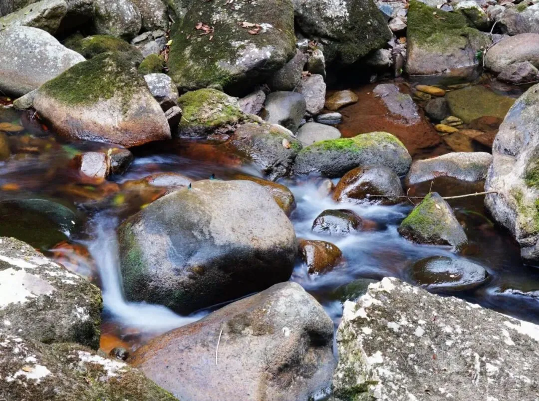 中考优秀作文:《谢谢你,使我成为更好的自己》(范文6篇) 第2张