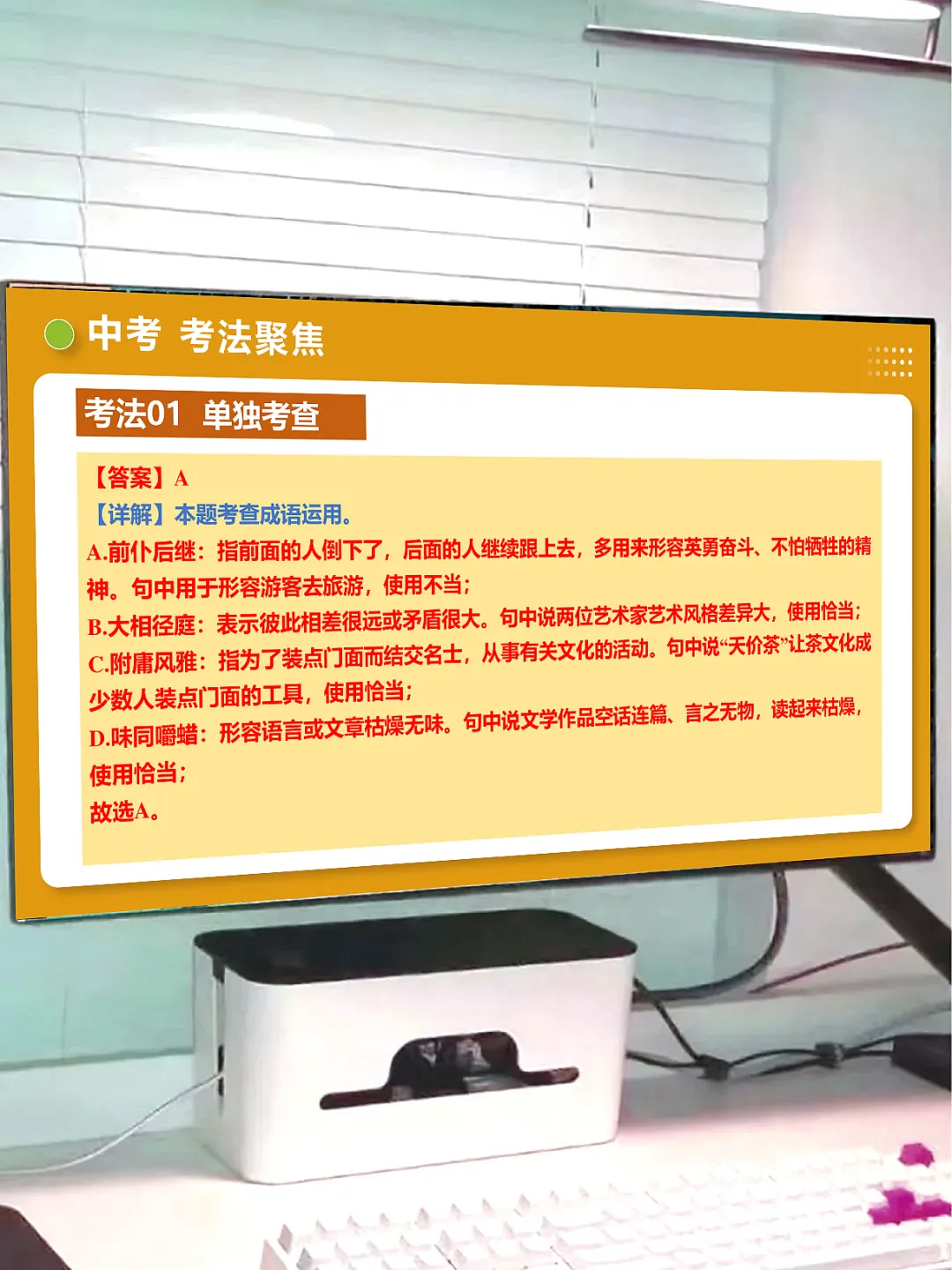 中考语文词语:理解、辨析与运用(复习课件) 第13张
