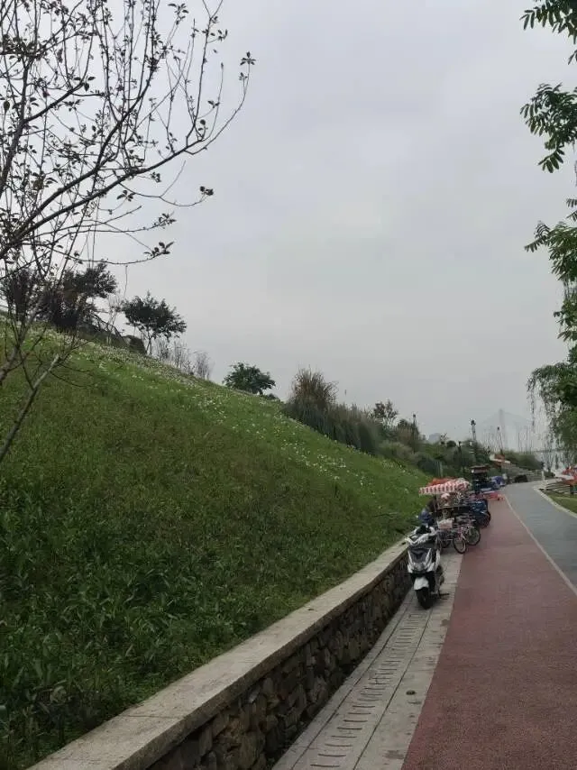 大设计通关密码:吃透真题,不刷模拟题! 第1张