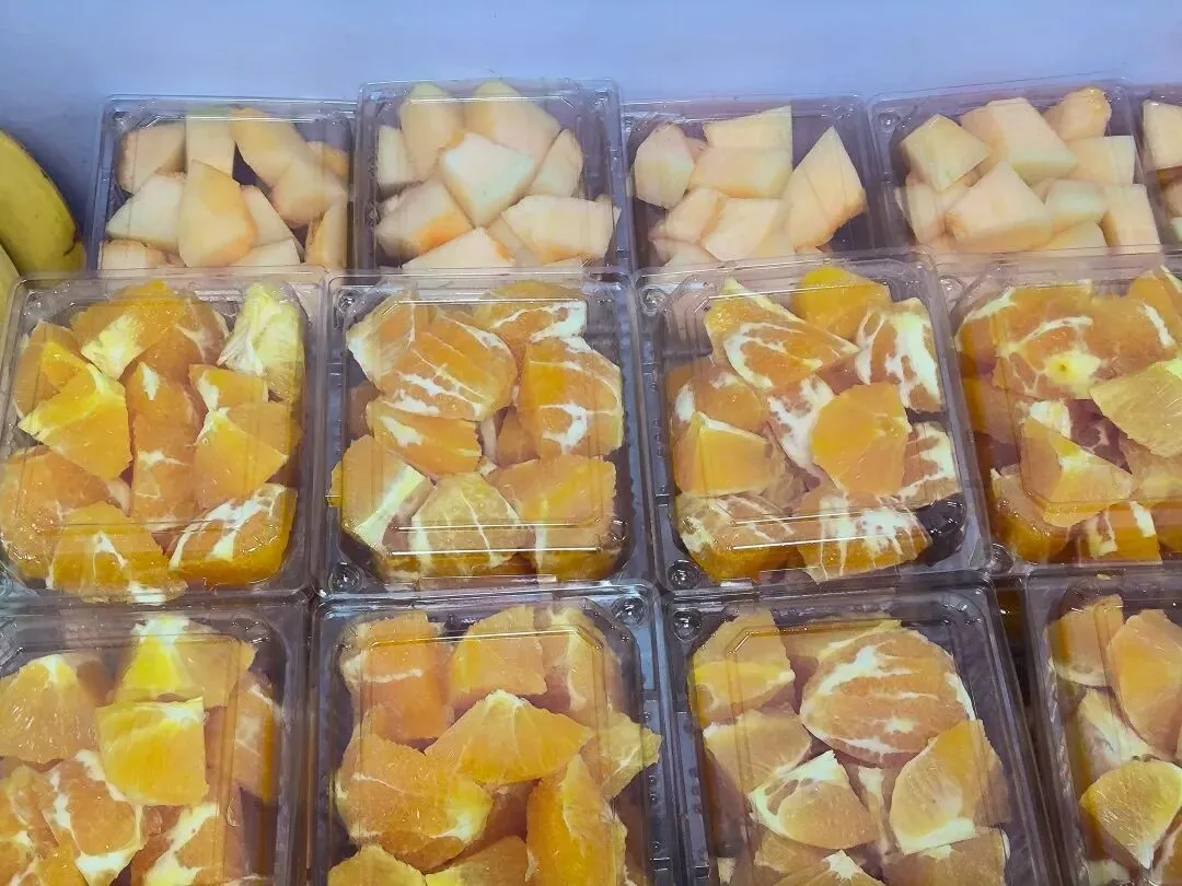 2026年教招笔试落幕|真题持续更新,附答案解析 第50张