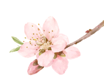 世杰中学初中部中考备考分层专题座谈会圆满召开 第21张