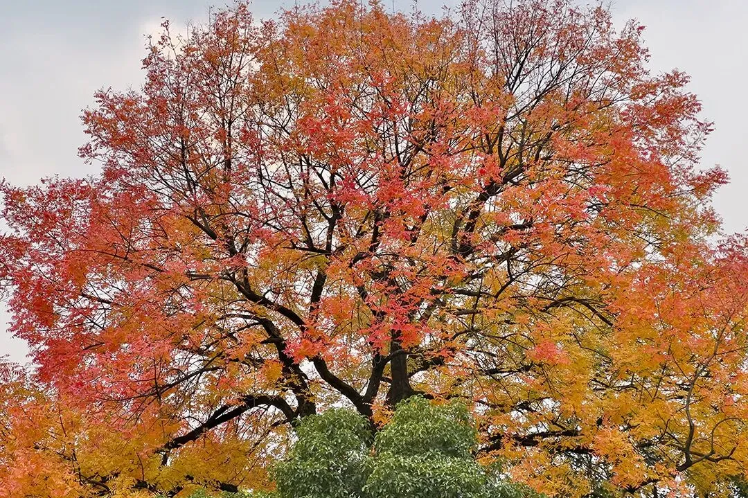 期中考落幕,别让分数困住孩子! 第19张
