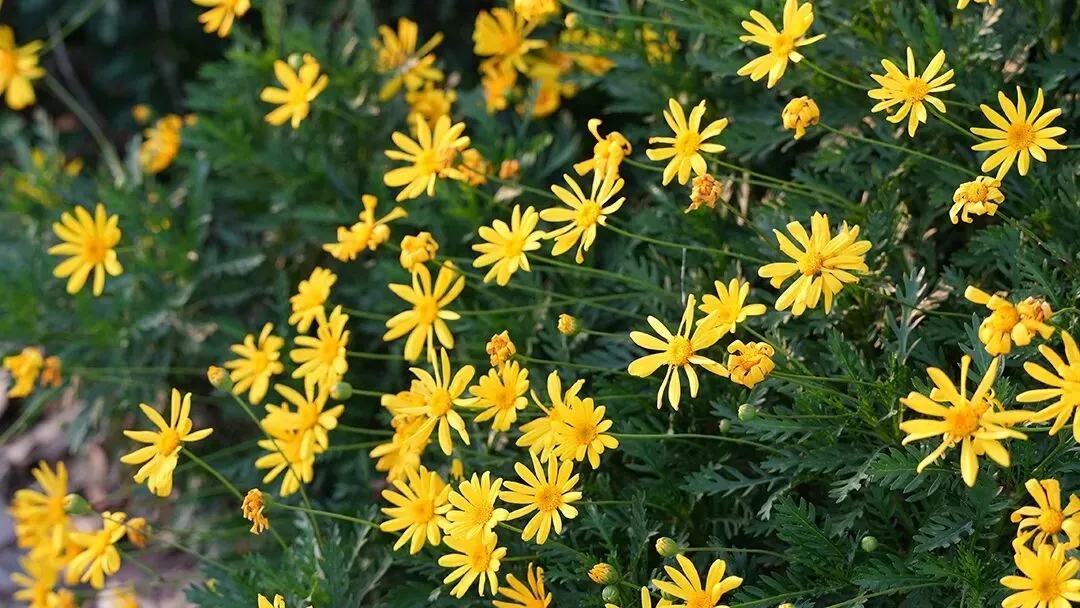 期中考落幕,别让分数困住孩子! 第21张