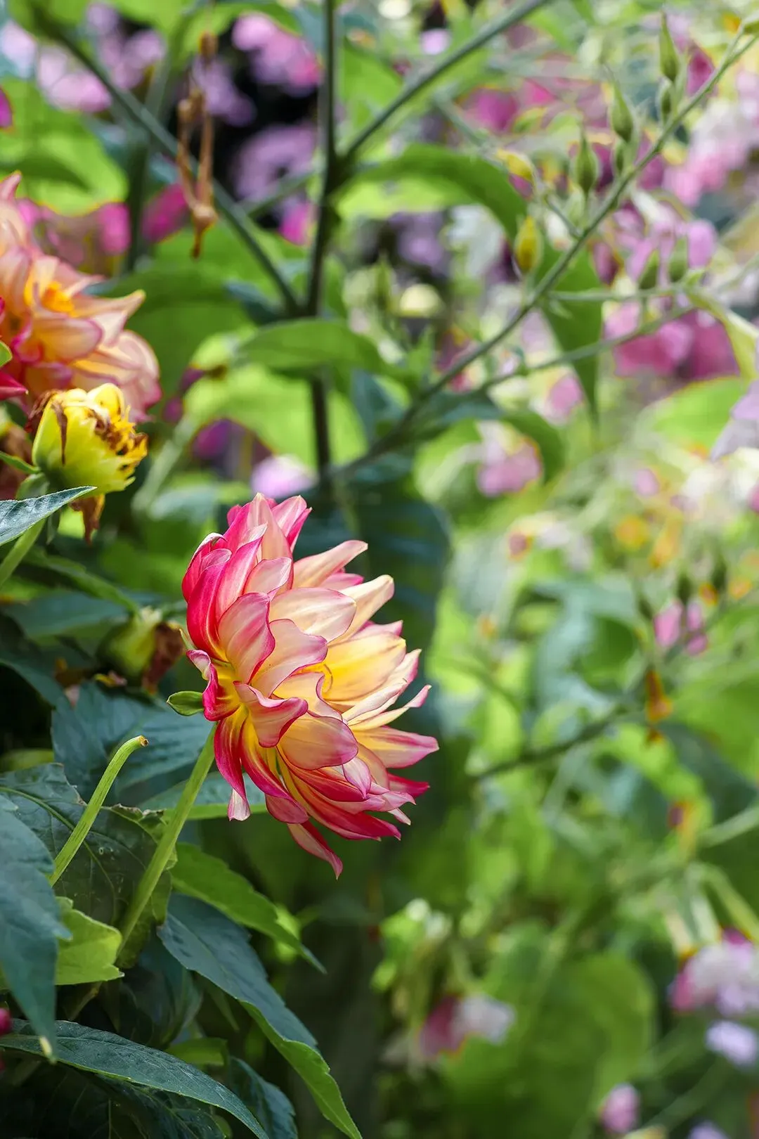 期中考落幕,别让分数困住孩子! 第22张