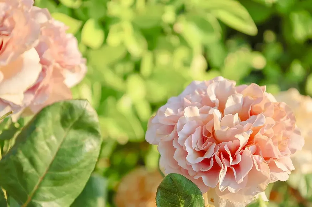 期中考落幕,别让分数困住孩子! 第28张