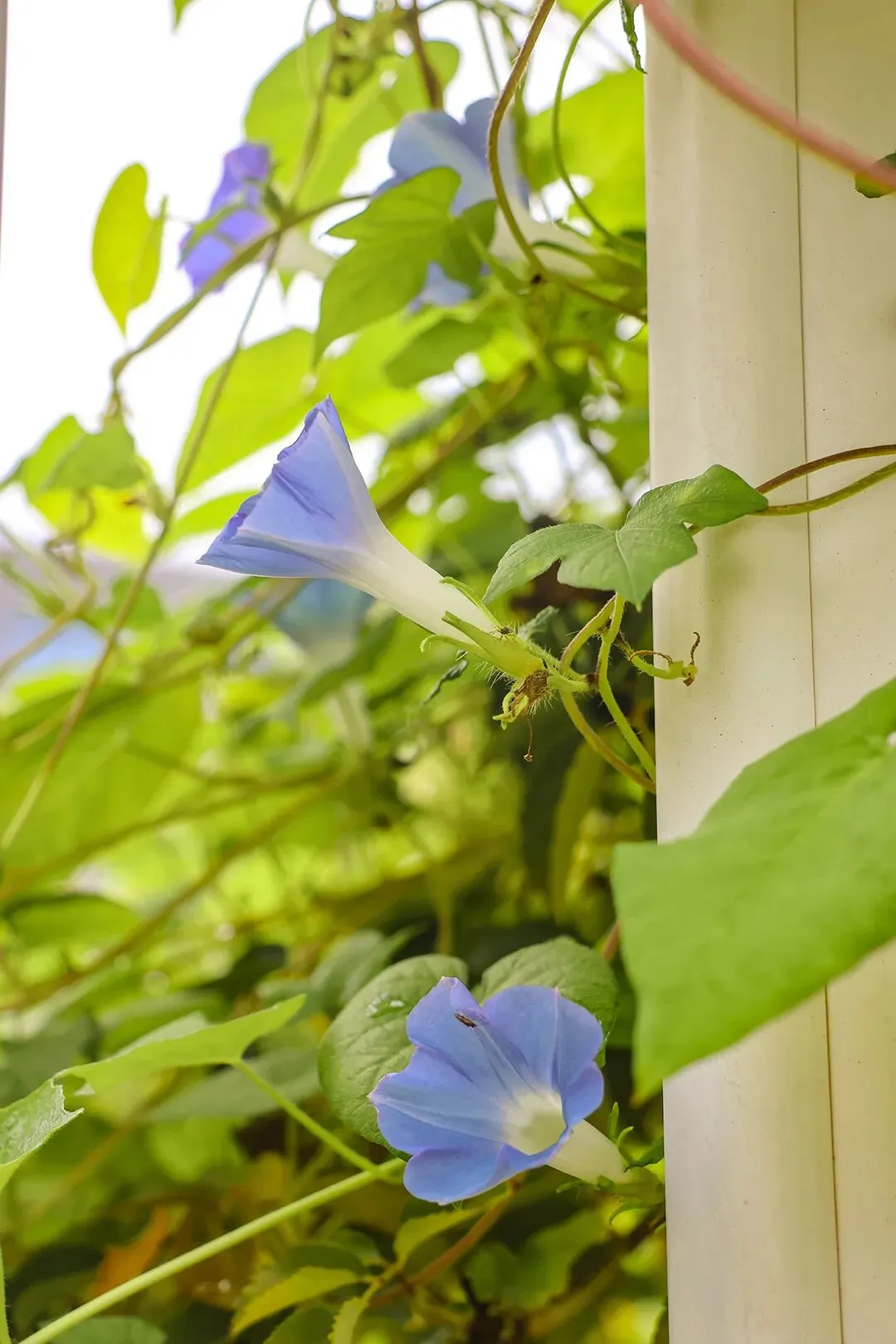 期中考落幕,别让分数困住孩子! 第33张