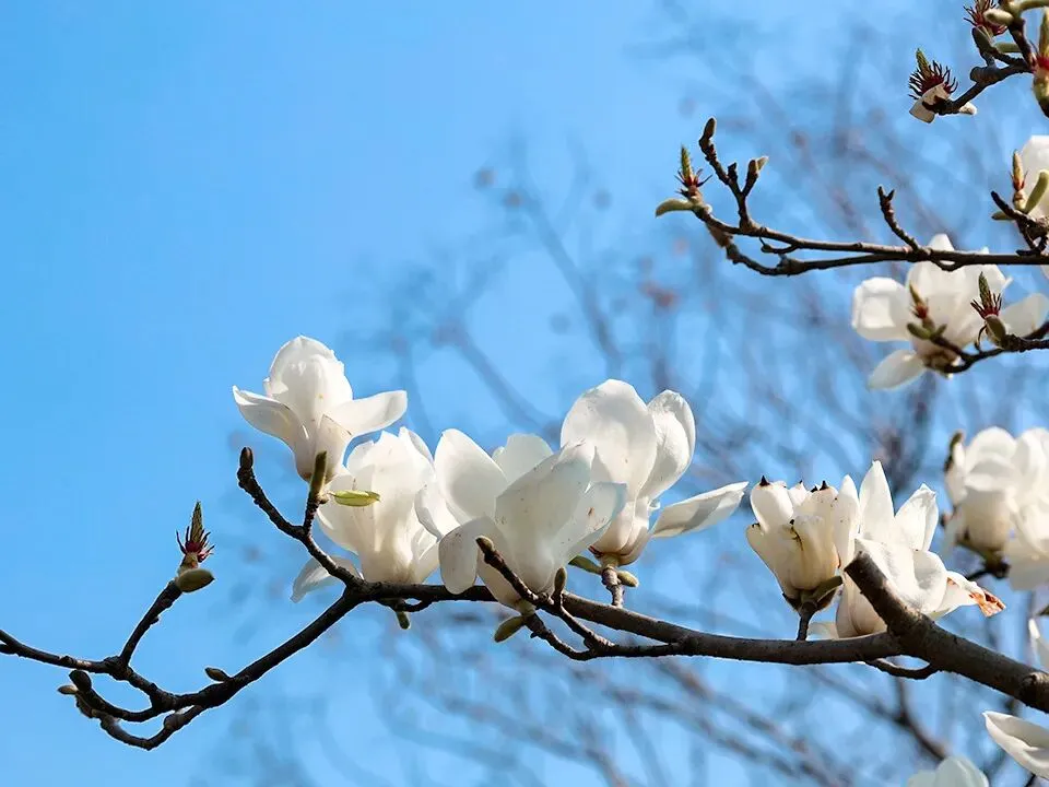 期中考落幕,别让分数困住孩子! 第34张