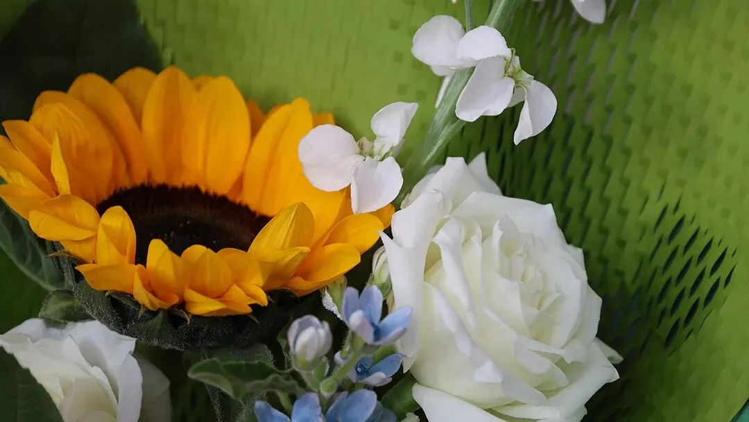 期中考落幕,别让分数困住孩子! 第35张