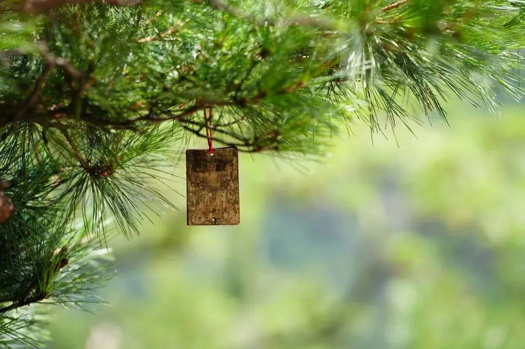 期中考落幕,别让分数困住孩子! 第39张
