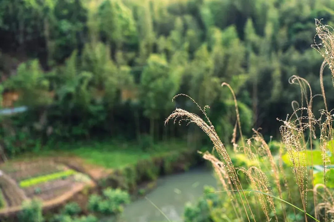 期中考落幕,别让分数困住孩子! 第41张