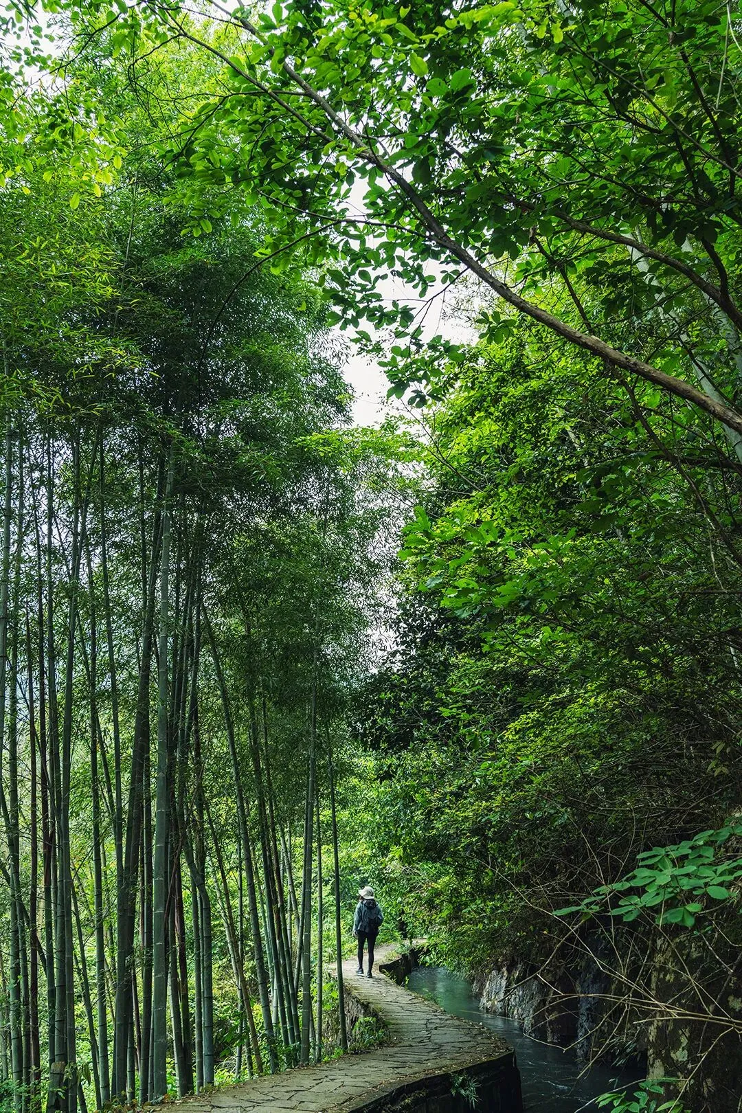 期中考落幕,别让分数困住孩子! 第44张