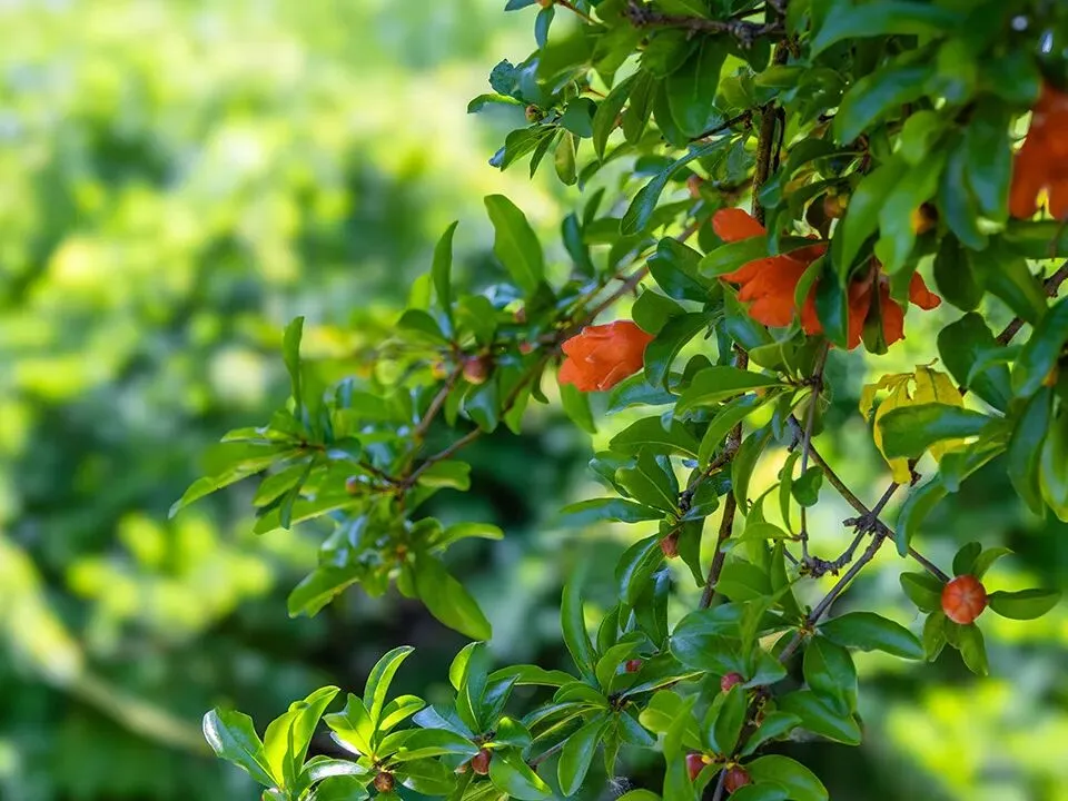 期中考落幕,别让分数困住孩子! 第45张