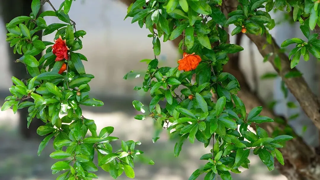 期中考落幕,别让分数困住孩子! 第46张