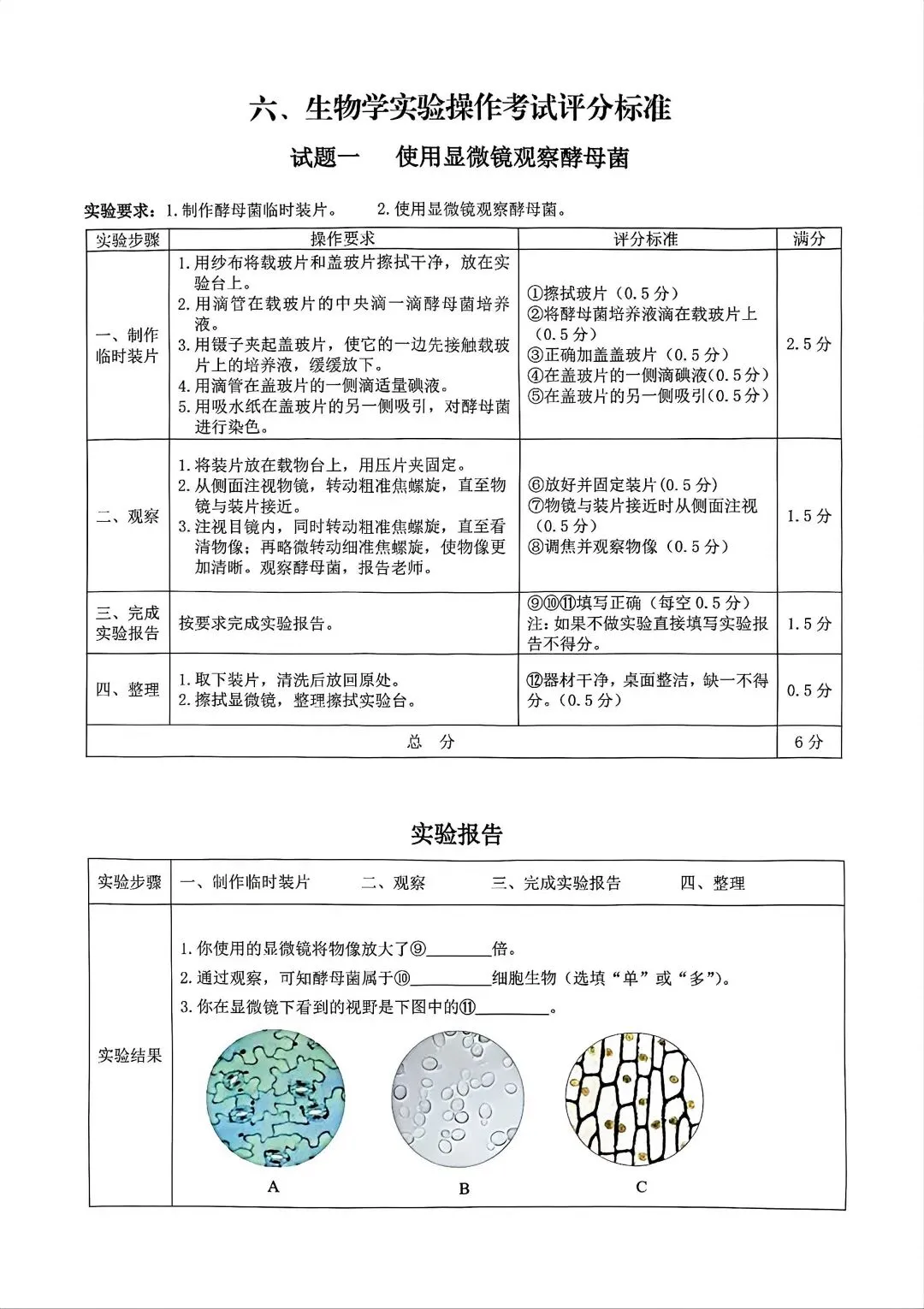 【中考实验】2026年河北省物理、化学实验操作考试视频+评分标准+实验报告 第13张