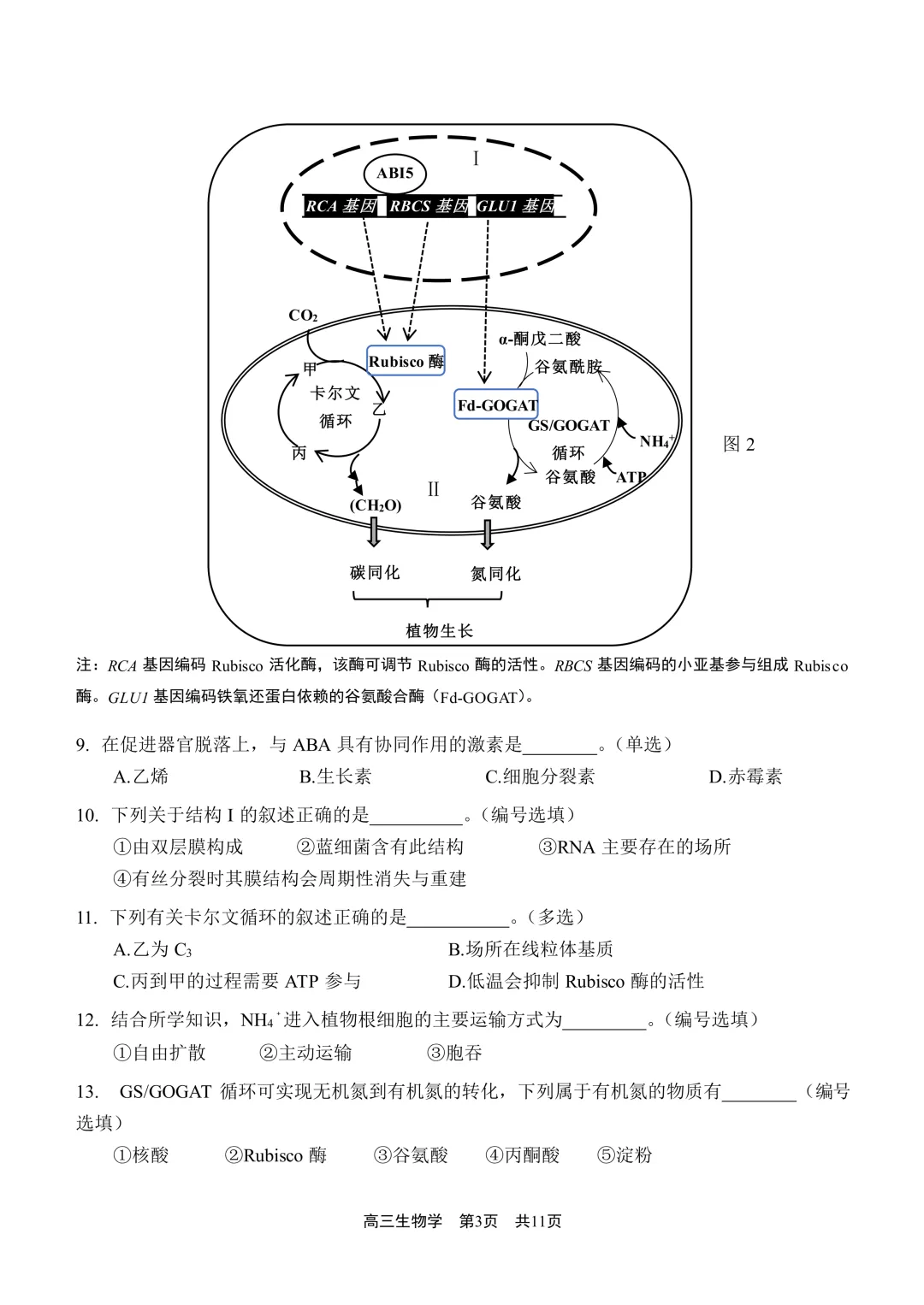 上海市2026届青浦区高三二模生物试卷及答案 第3张