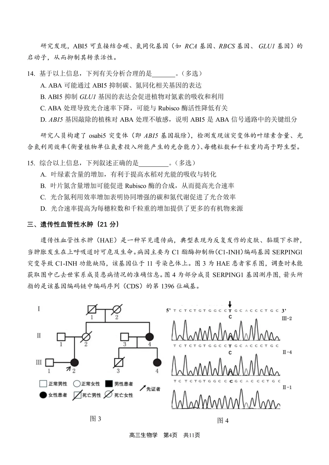 上海市2026届青浦区高三二模生物试卷及答案 第4张