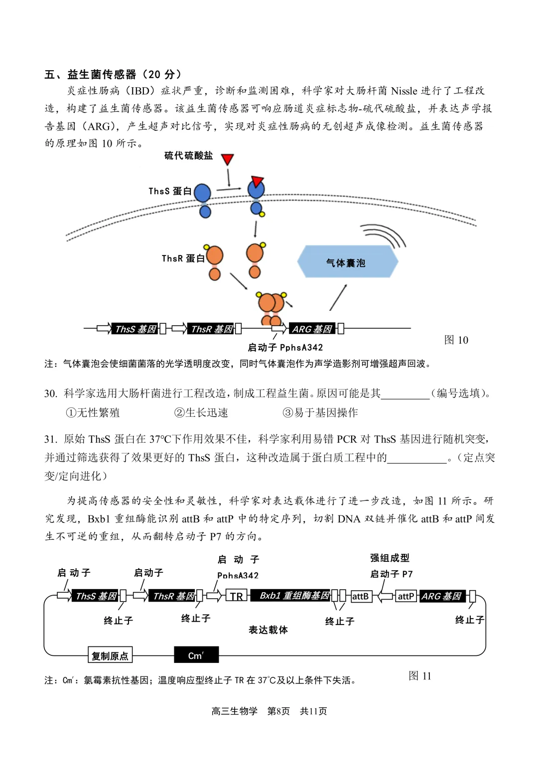 上海市2026届青浦区高三二模生物试卷及答案 第8张
