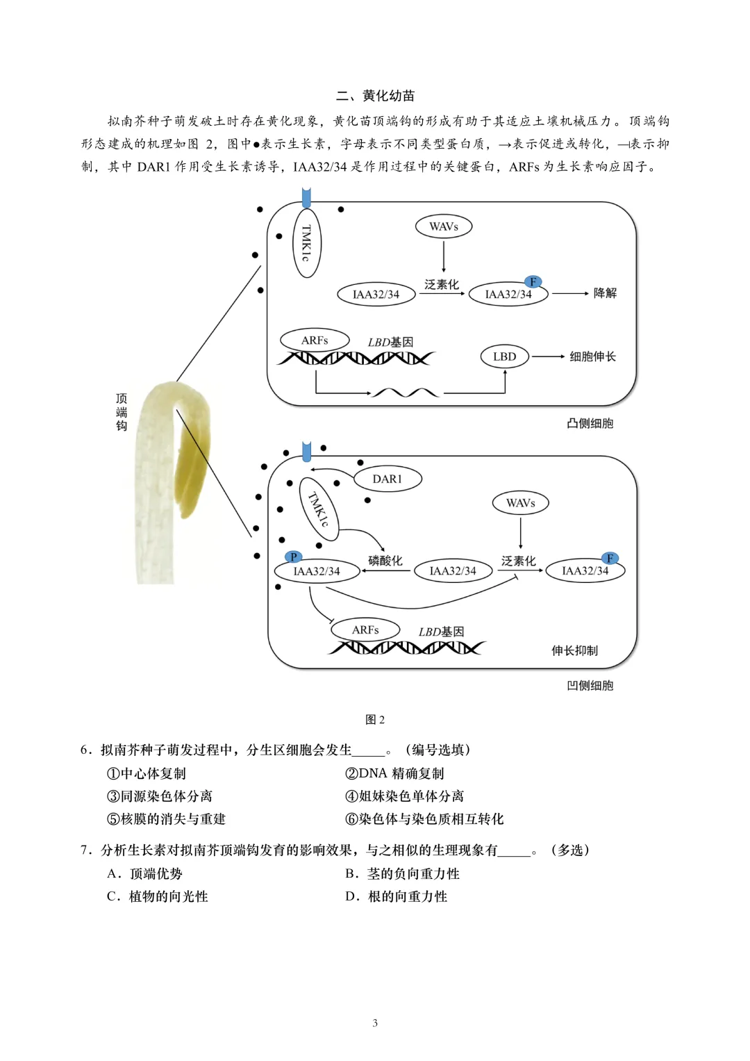 上海市2026届黄浦区高三二模生物试卷及答案 第3张