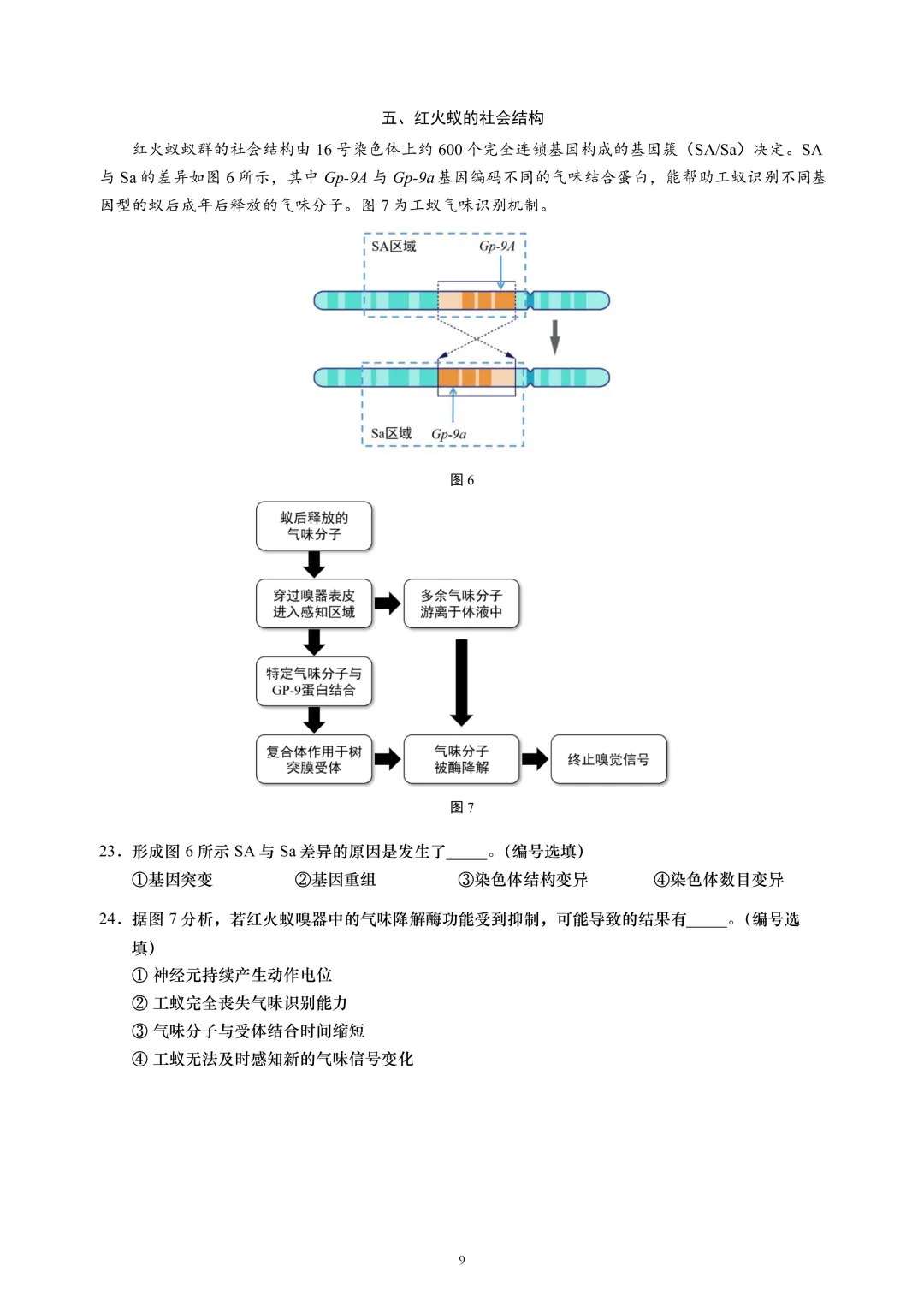 上海市2026届黄浦区高三二模生物试卷及答案 第9张