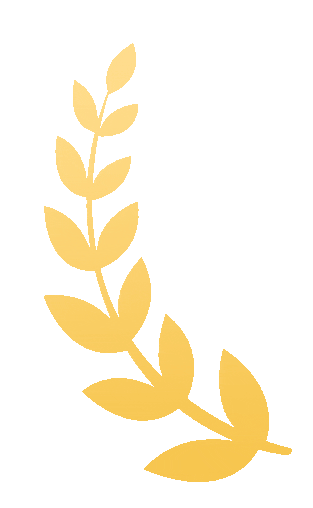 今年中考特长生变化大,怎么报考不当“炮灰”? 第15张