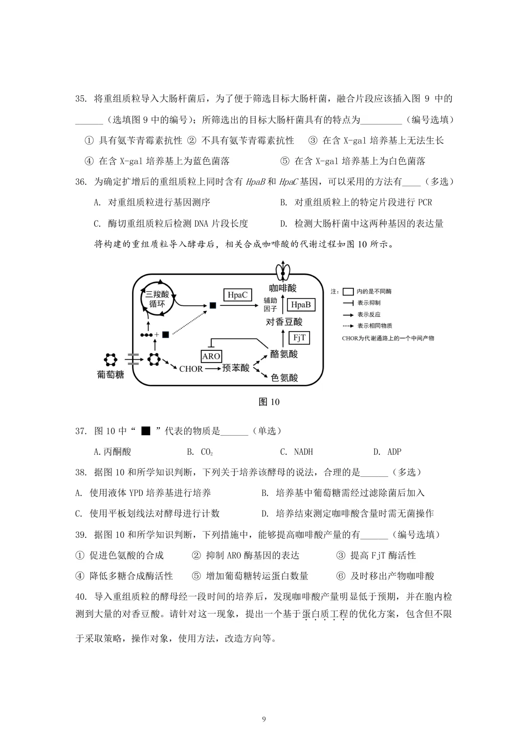 上海市2026届徐汇区高三二模生物试卷及答案 第9张