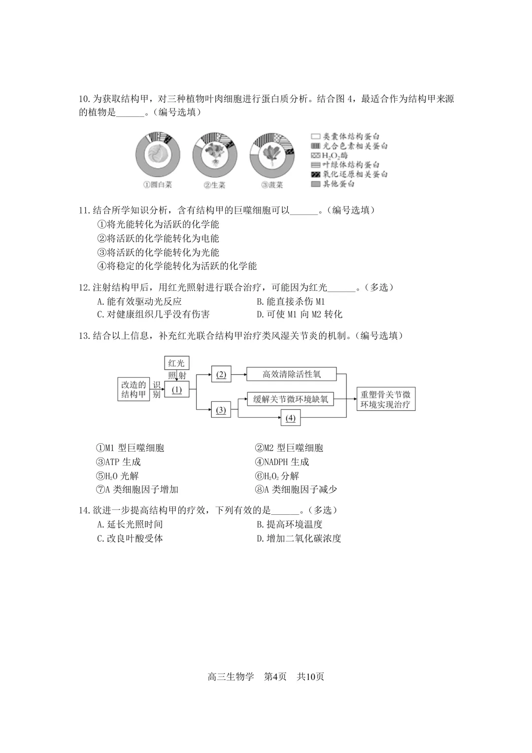 上海市2026届松江区高三二模生物试卷及答案 第4张