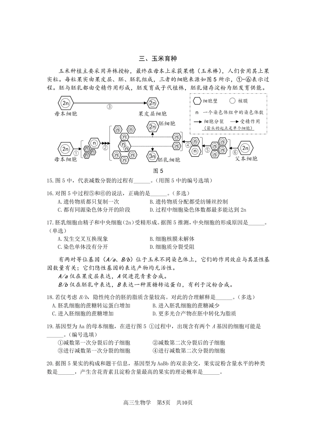 上海市2026届松江区高三二模生物试卷及答案 第5张