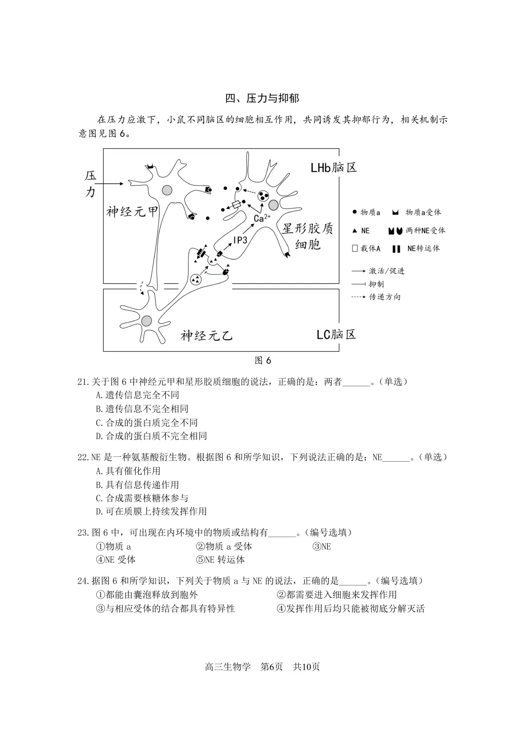 上海市2026届松江区高三二模生物试卷及答案 第6张