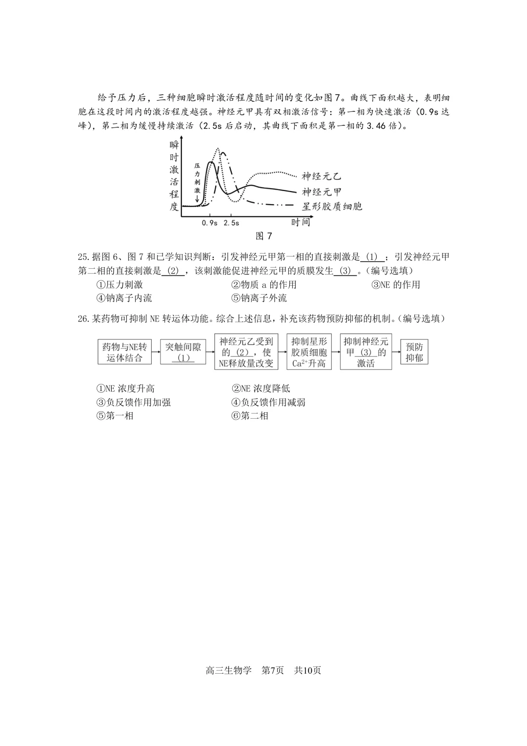 上海市2026届松江区高三二模生物试卷及答案 第7张