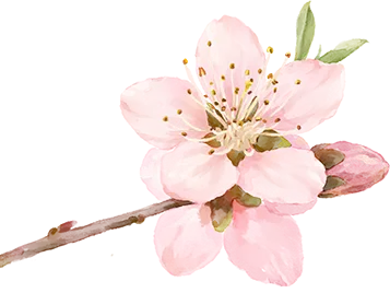 2026年中考工作专题会议 第4张