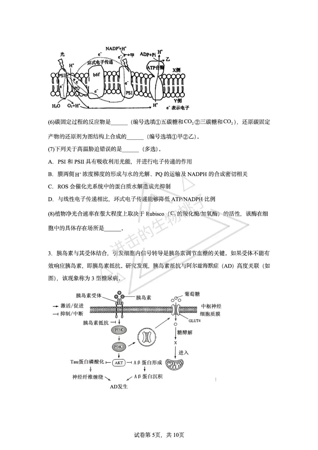上海生物高二期中试卷含答案 第5张