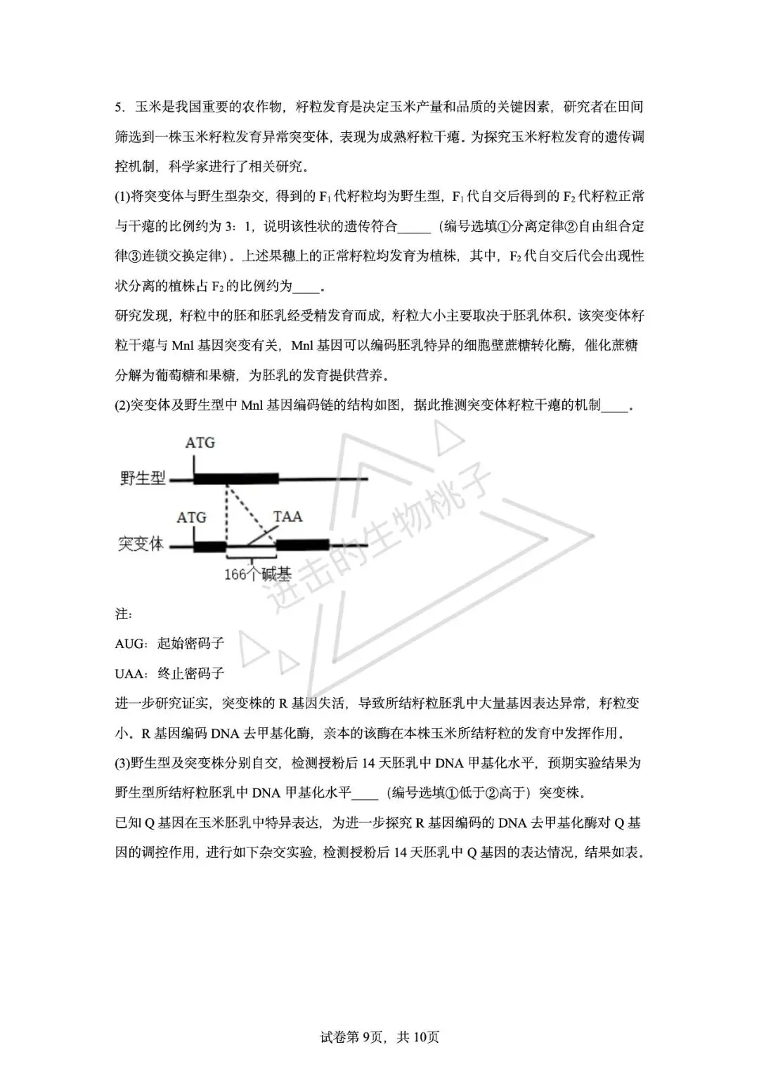 上海生物高二期中试卷含答案 第9张