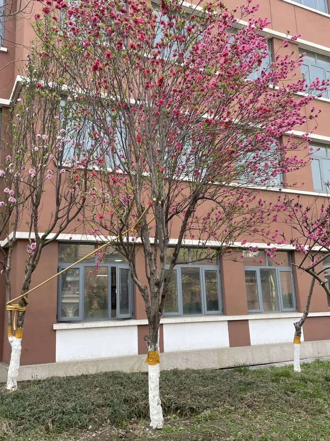 一张试卷引发的思考 第1张