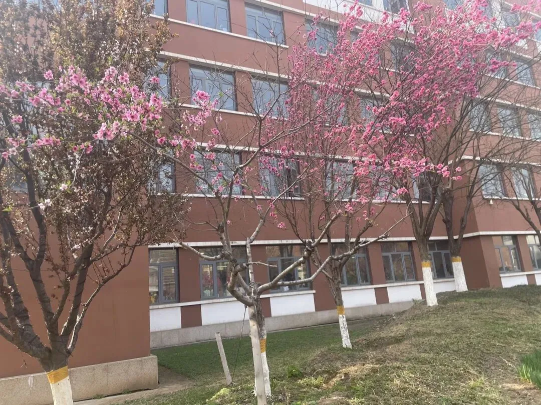 一张试卷引发的思考 第3张