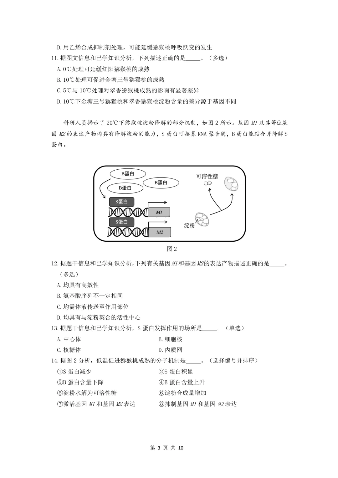 上海市2026届奉贤区高三二模生物试卷及答案 第3张