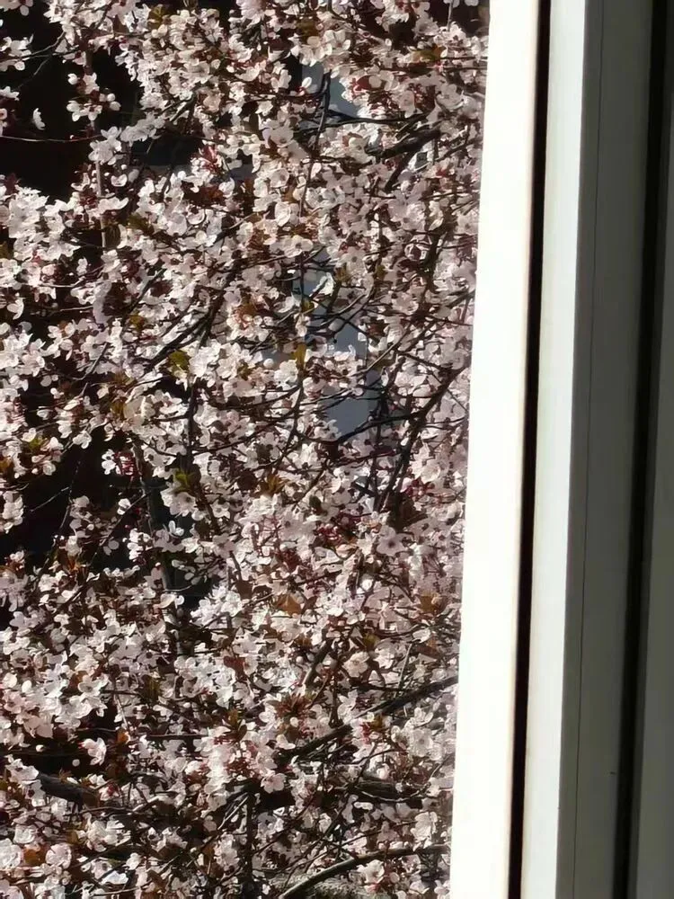 致中考少年:全力以赴,终见星光 第11张