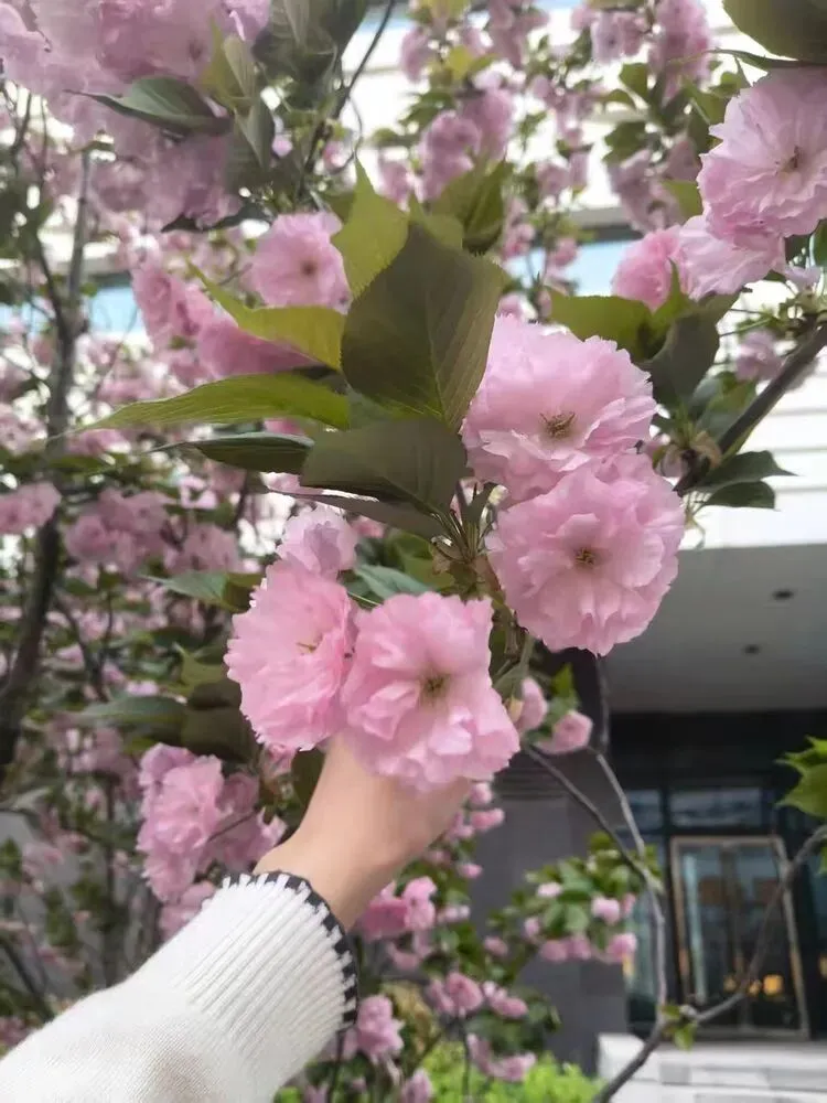 致中考少年:全力以赴,终见星光 第17张