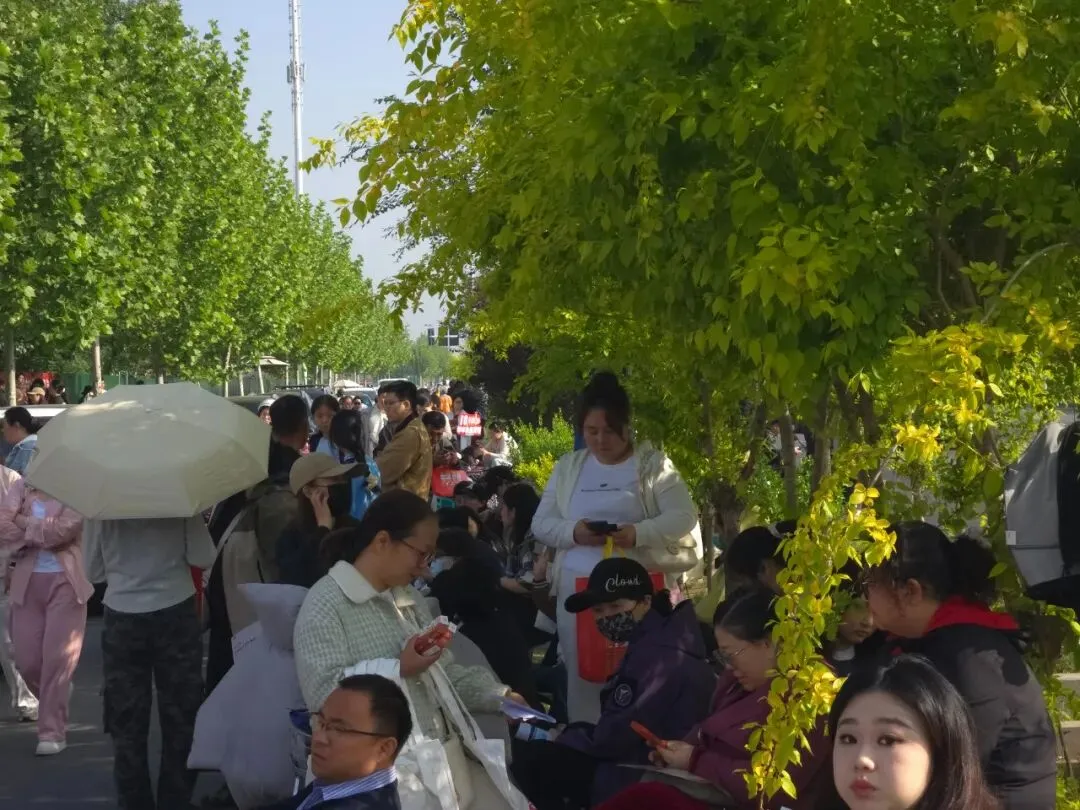 “执笔为剑,逐梦而行”——致石家庄中考美术联考全体考生 第11张