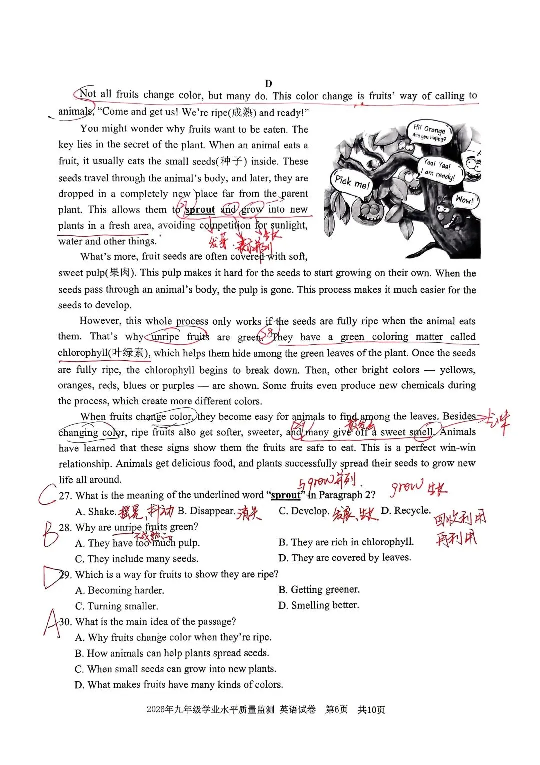 26宁波中考一模英语试卷分析(内含浙江各地一模卷) 第6张