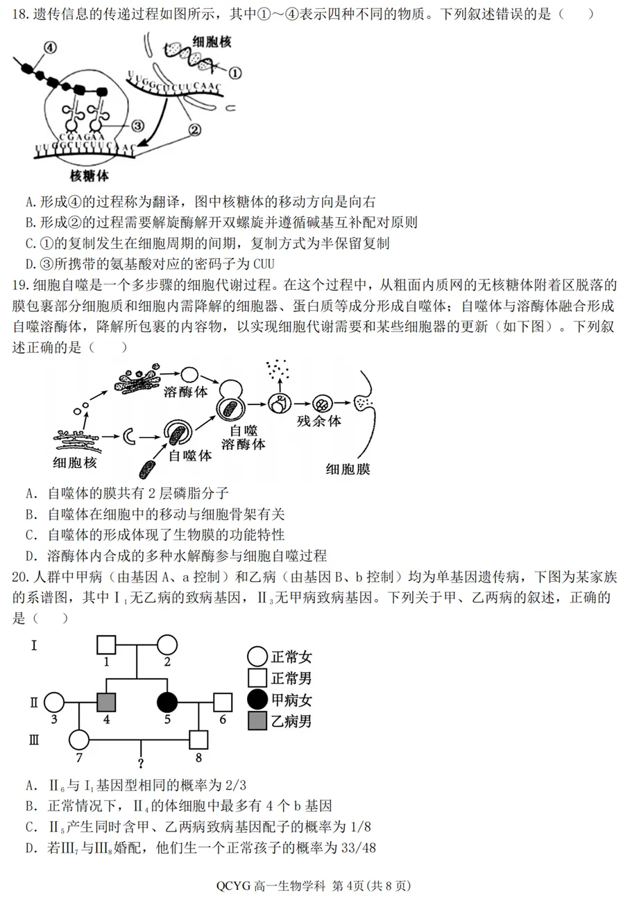 2026年4月七彩阳光高一期中联考生物试卷、答案 第4张