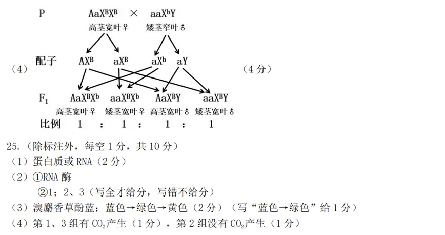 2026年4月七彩阳光高一期中联考生物试卷、答案 第9张
