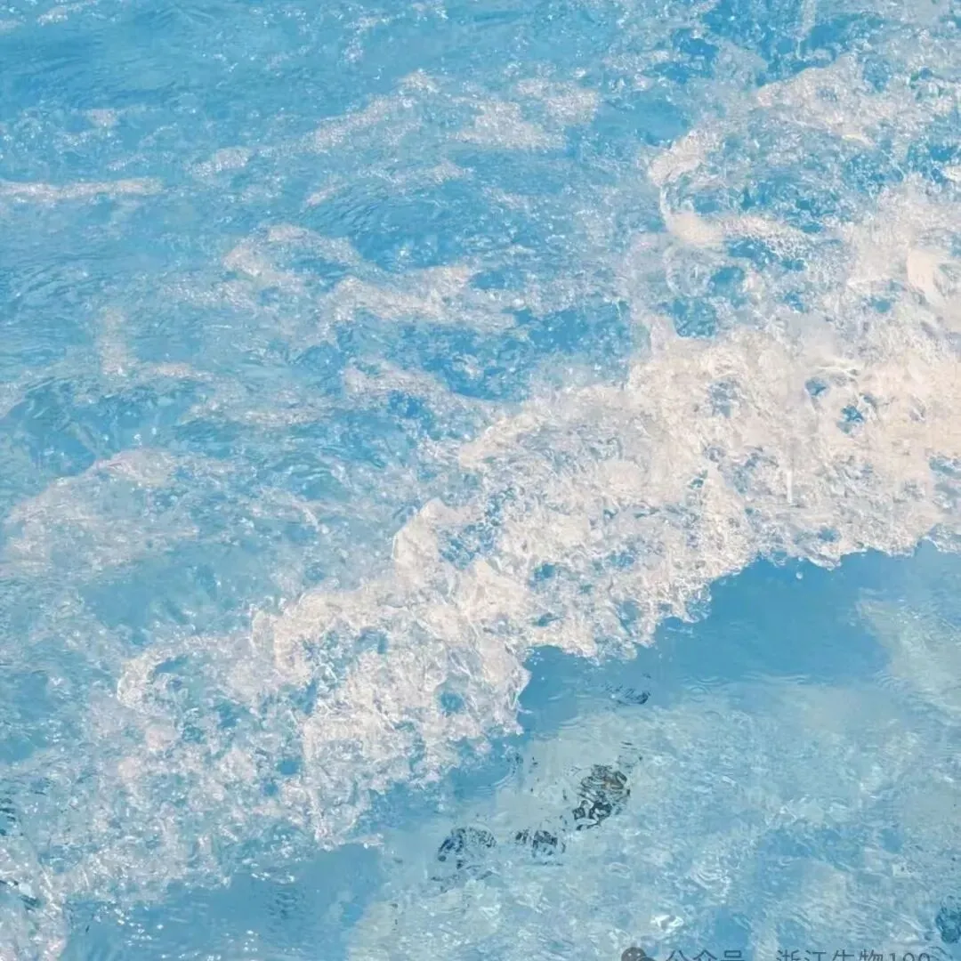 2026年4月七彩阳光高一期中联考生物试卷、答案 第12张