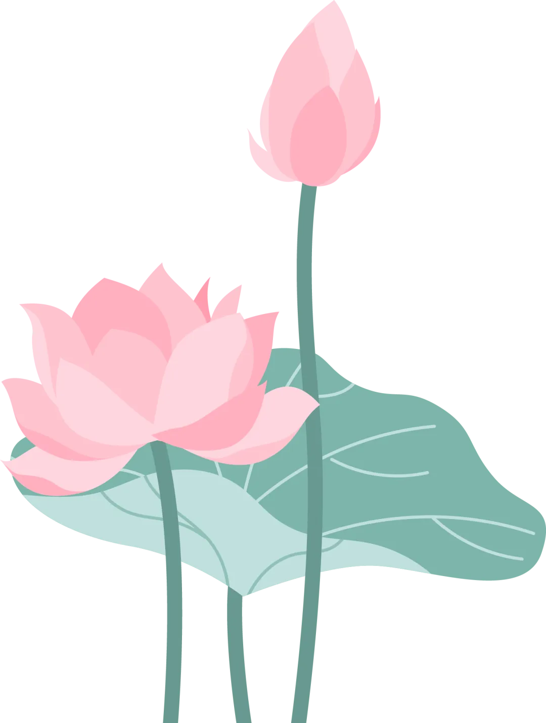 直面政治问题,关注道德细节,中考高效复习——我校特邀省城“道德与法治”专家开展备考专题讲座 第18张