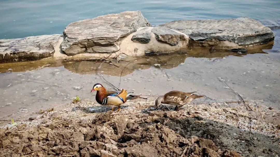 中考一模差点破防,做个不拉后腿的家长就好 第1张