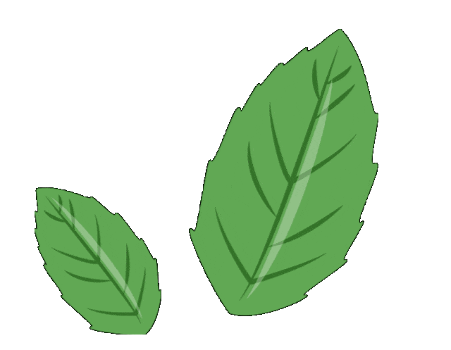 陕西师范大学2027考研真题和资料 | 陕西师范大学生物学考研338生物化学842细胞生物学答案笔记习题!学长学姐强推 第33张