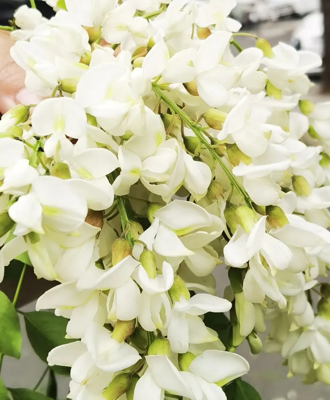 【中考物理】2026平谷初三一模解析及勘误 第13张