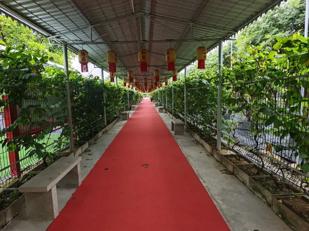 写给离中考还有50天左右的初三毕业生,这些话可要记住了(中考2601) 第2张